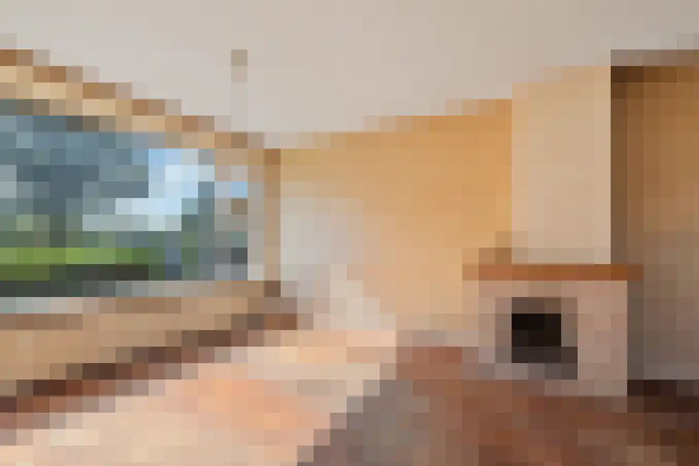 Seringenlaan 109 Hoogeveen thumbnail 8