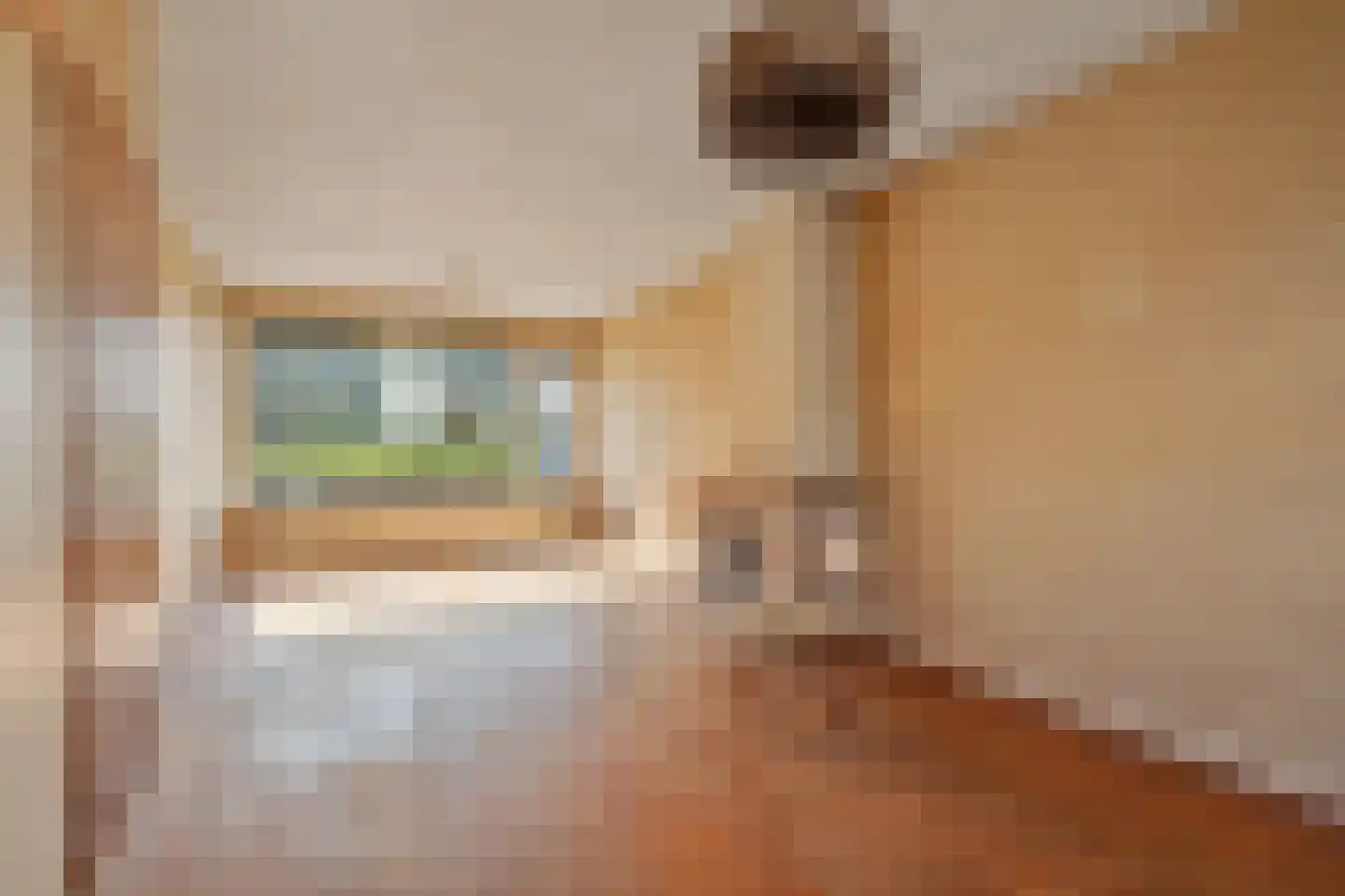 Seringenlaan 109 Hoogeveen thumbnail 9