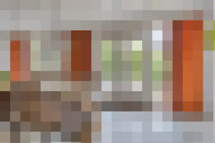 Seringenlaan 126 Steenbergen thumbnail 13
