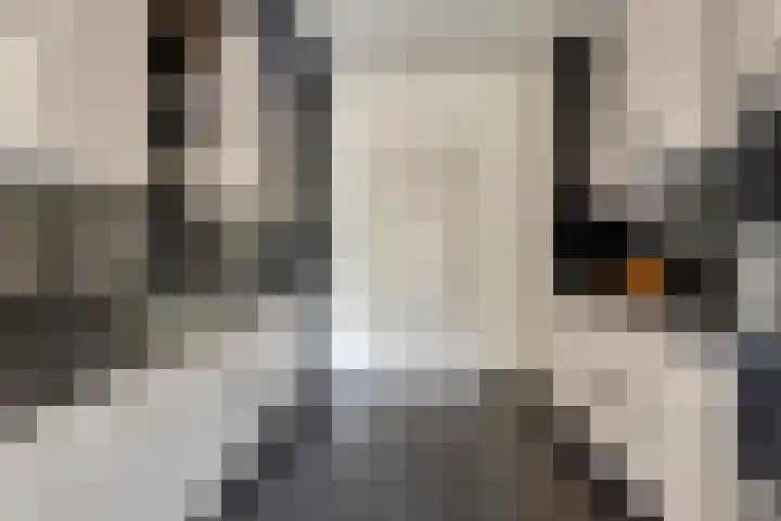 Seringenlaan 126 Steenbergen thumbnail 14