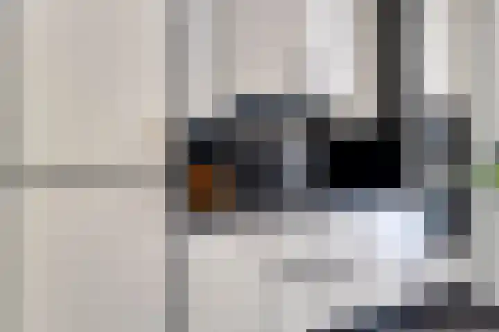 Seringenlaan 126 Steenbergen thumbnail 15