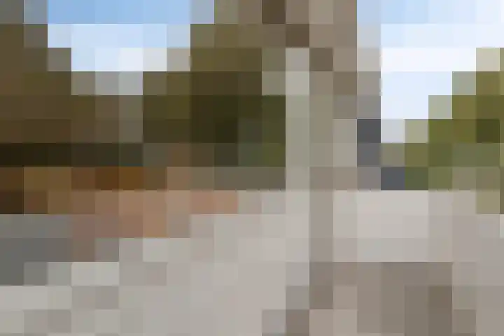 Seringenlaan 126 Steenbergen thumbnail 23