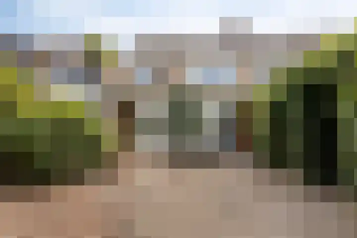 Seringenlaan 126 Steenbergen thumbnail 35