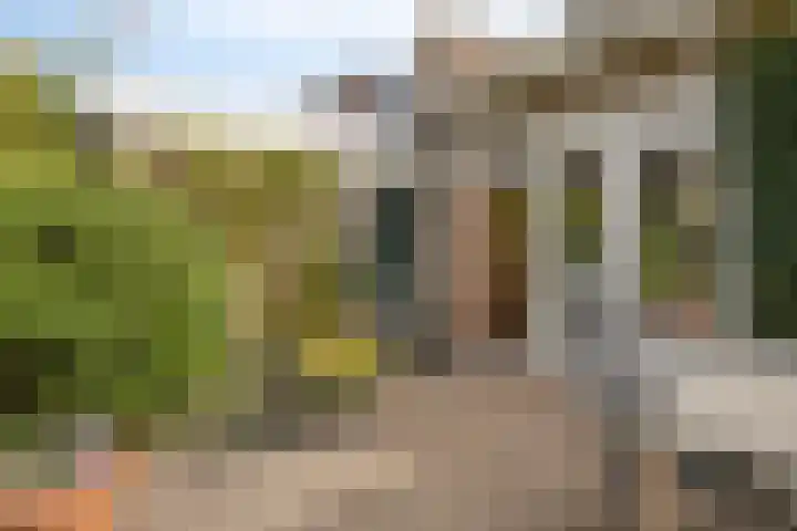 Seringenlaan 126 Steenbergen thumbnail 36