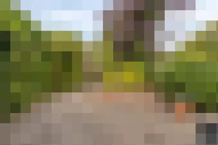 Seringenlaan 126 Steenbergen thumbnail 37