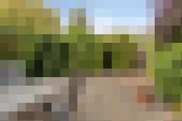 Seringenlaan 126 Steenbergen thumbnail 38