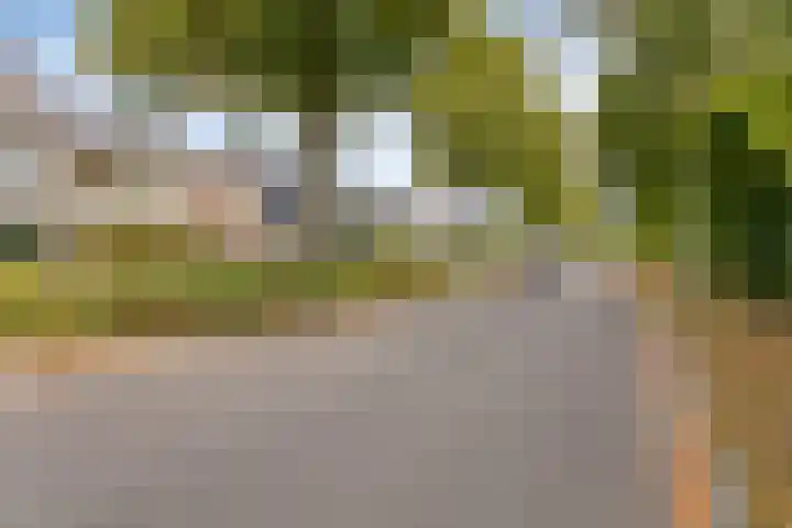 Seringenlaan 126 Steenbergen thumbnail 40