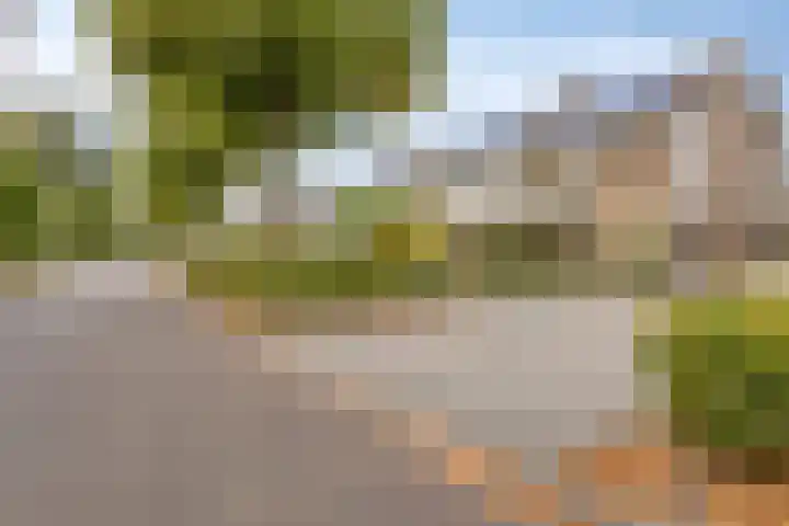 Seringenlaan 126 Steenbergen thumbnail 41