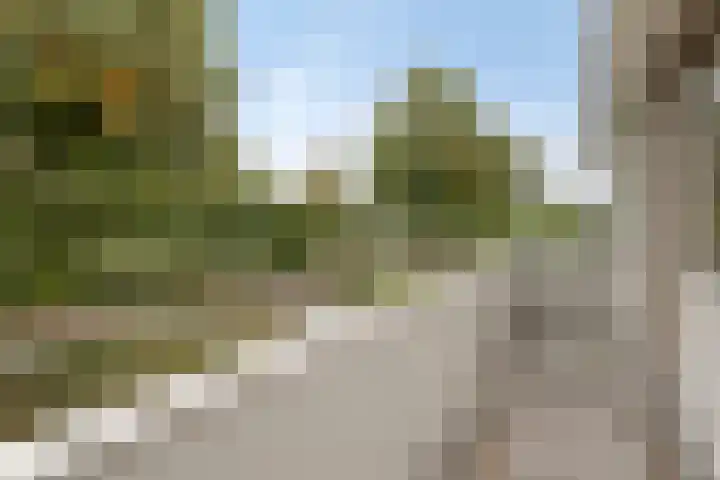 Seringenlaan 126 Steenbergen thumbnail 5