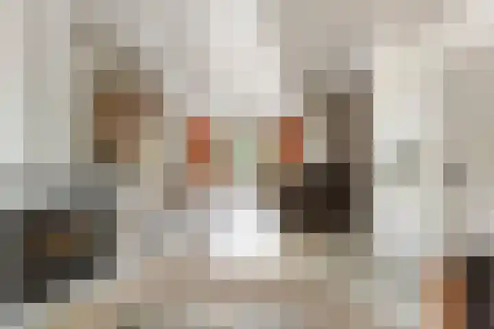 Seringenlaan 126 Steenbergen thumbnail 9