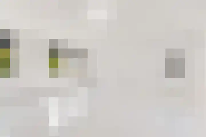 Seringenlaan 14 Geleen thumbnail 10