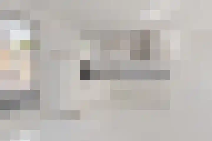 Seringenlaan 14 Geleen thumbnail 12