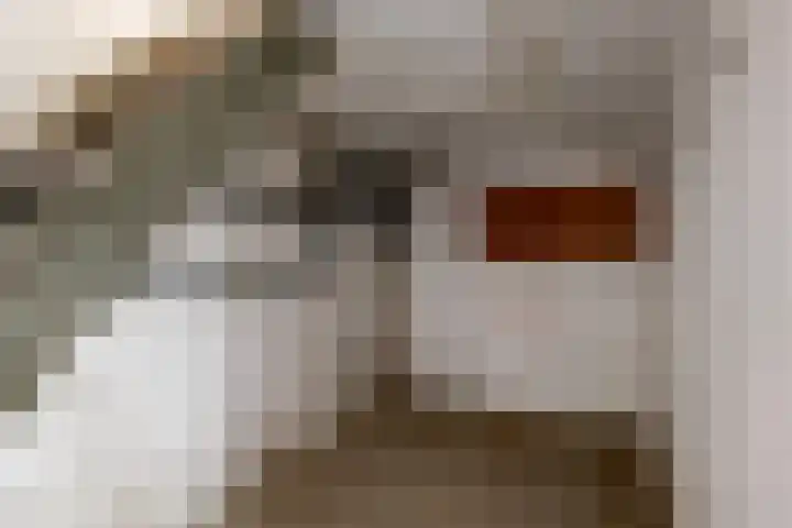 Seringenlaan 14 Geleen thumbnail 15
