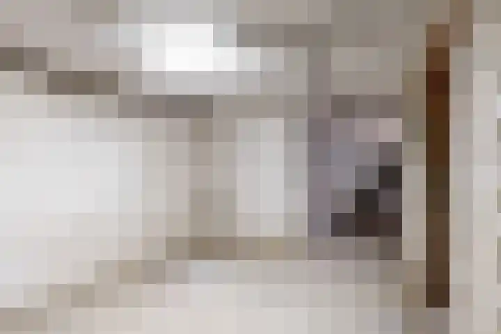 Seringenlaan 14 Geleen thumbnail 18