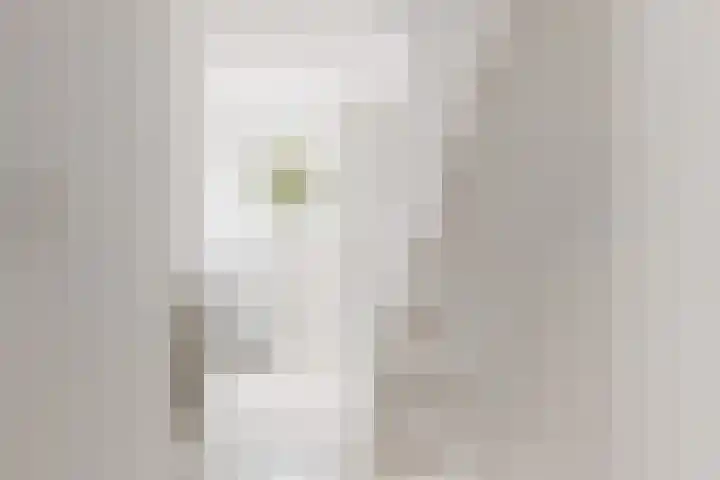 Seringenlaan 14 Geleen thumbnail 19