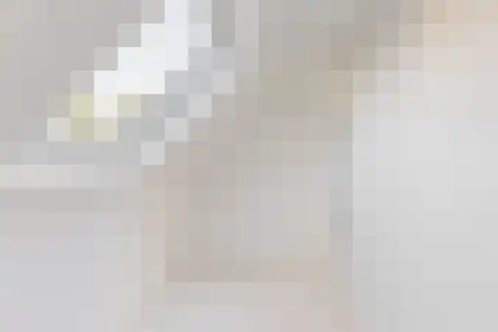 Seringenlaan 14 Geleen thumbnail 26