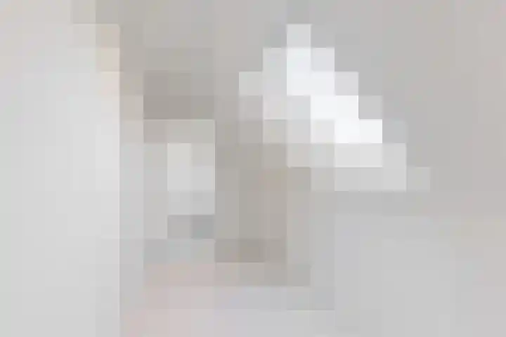 Seringenlaan 14 Geleen thumbnail 27