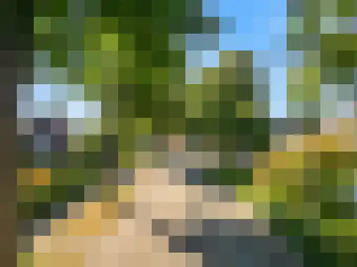 Seringenlaan 14 Geleen thumbnail 37