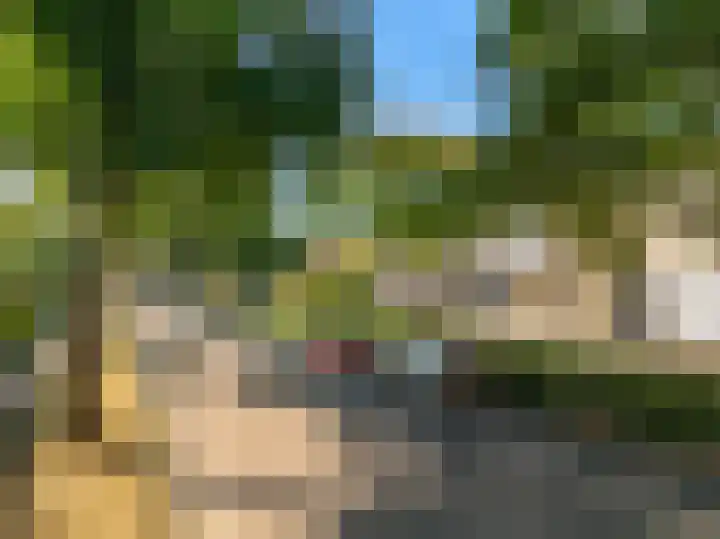 Seringenlaan 14 Geleen thumbnail 38