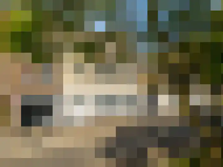 Seringenlaan 14 Geleen thumbnail 4