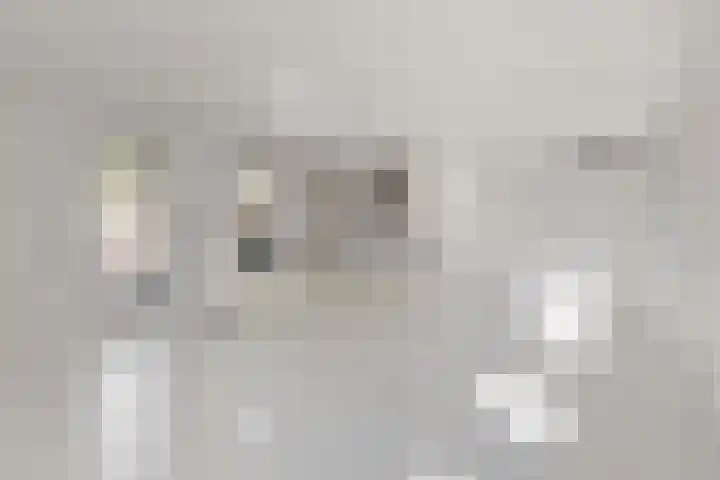 Seringenlaan 14 Geleen thumbnail 8