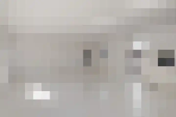 Seringenlaan 14 Geleen thumbnail 9