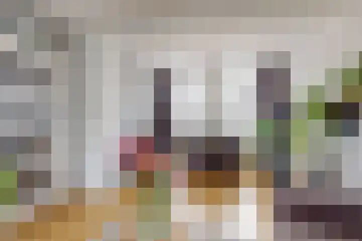 Seringenlaan 16 Geleen thumbnail 10