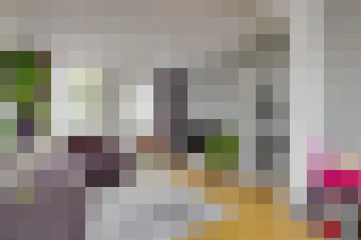 Seringenlaan 16 Geleen thumbnail 12