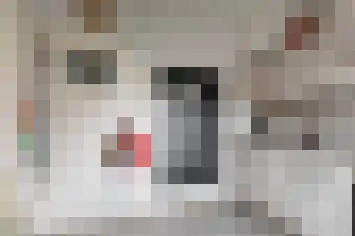 Seringenlaan 16 Geleen thumbnail 14