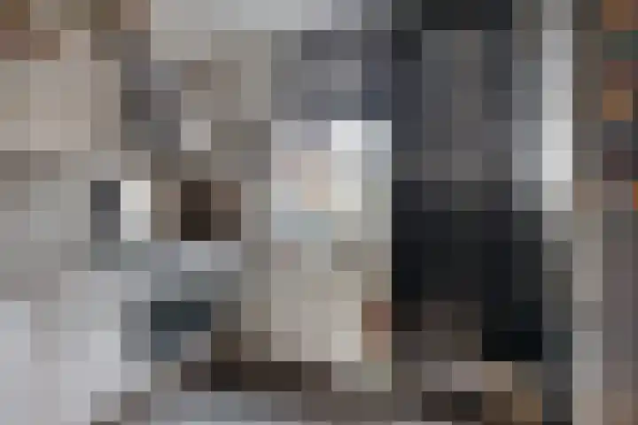 Seringenlaan 16 Geleen thumbnail 15