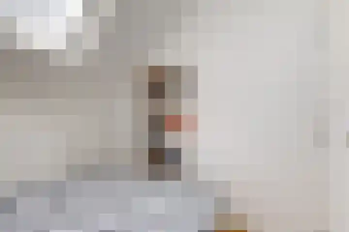 Seringenlaan 16 Geleen thumbnail 17
