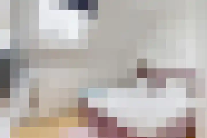 Seringenlaan 16 Geleen thumbnail 18