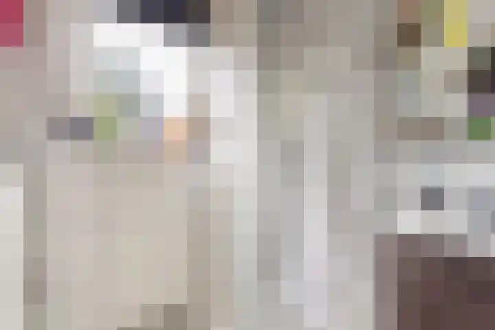 Seringenlaan 16 Geleen thumbnail 22