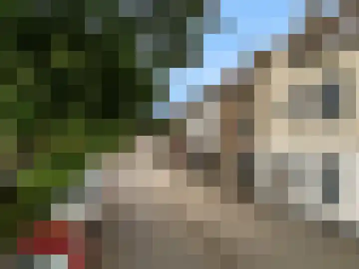 Seringenlaan 16 Geleen thumbnail 28