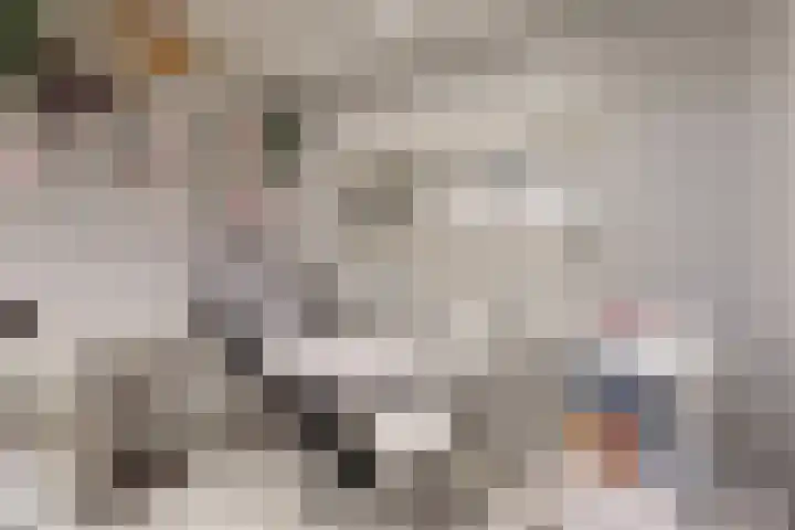 Seringenlaan 16 Geleen thumbnail 5
