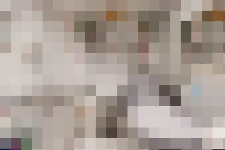 Seringenlaan 16 Geleen thumbnail 7