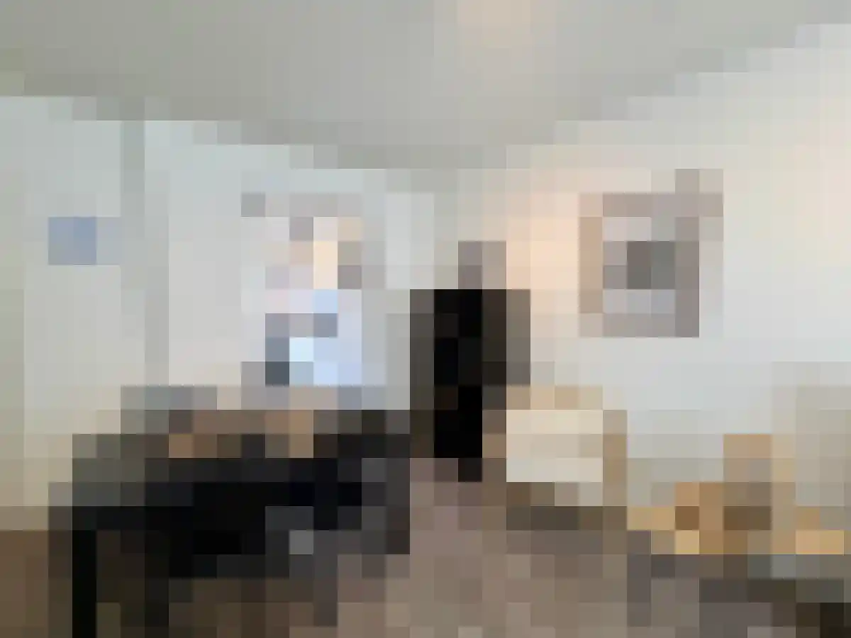 Seringenlaan 16 Hoek thumbnail 5