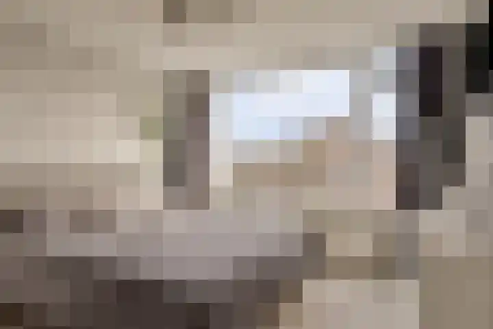 Seringenlaan 26 Breda thumbnail 12
