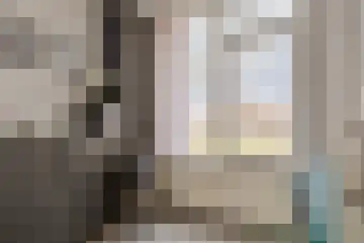 Seringenlaan 26 Breda thumbnail 14