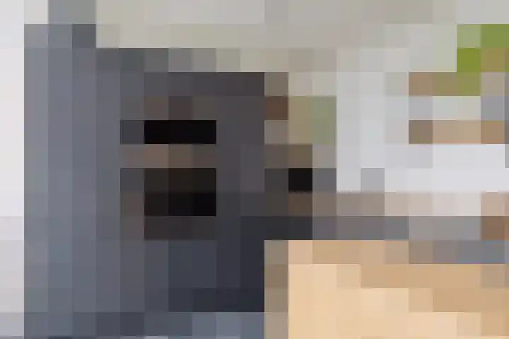 Seringenlaan 26 Breda thumbnail 9