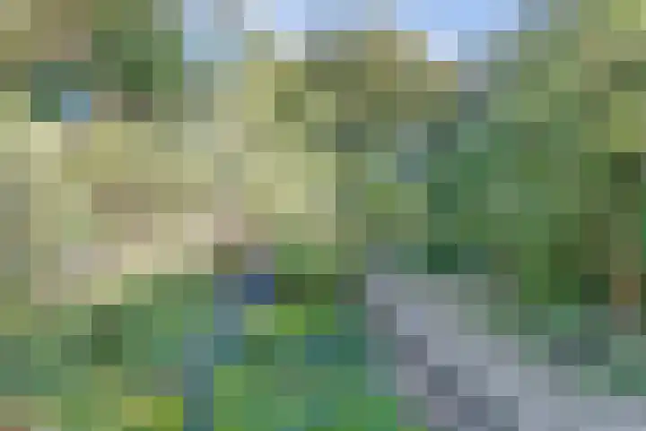 Seringenlaan 29 Doesburg thumbnail 32