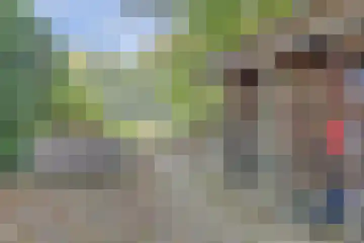 Seringenlaan 29 Doesburg thumbnail 33