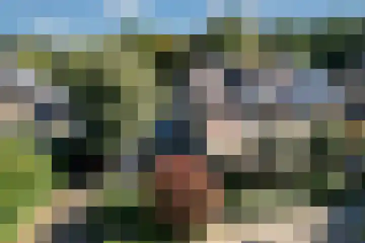 Seringenlaan 29 Doesburg thumbnail 38