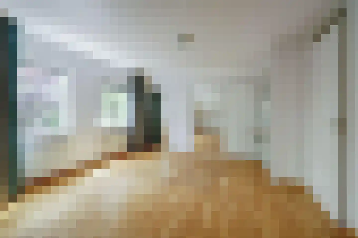 Seringenlaan 4 Burgh-Haamstede thumbnail 17