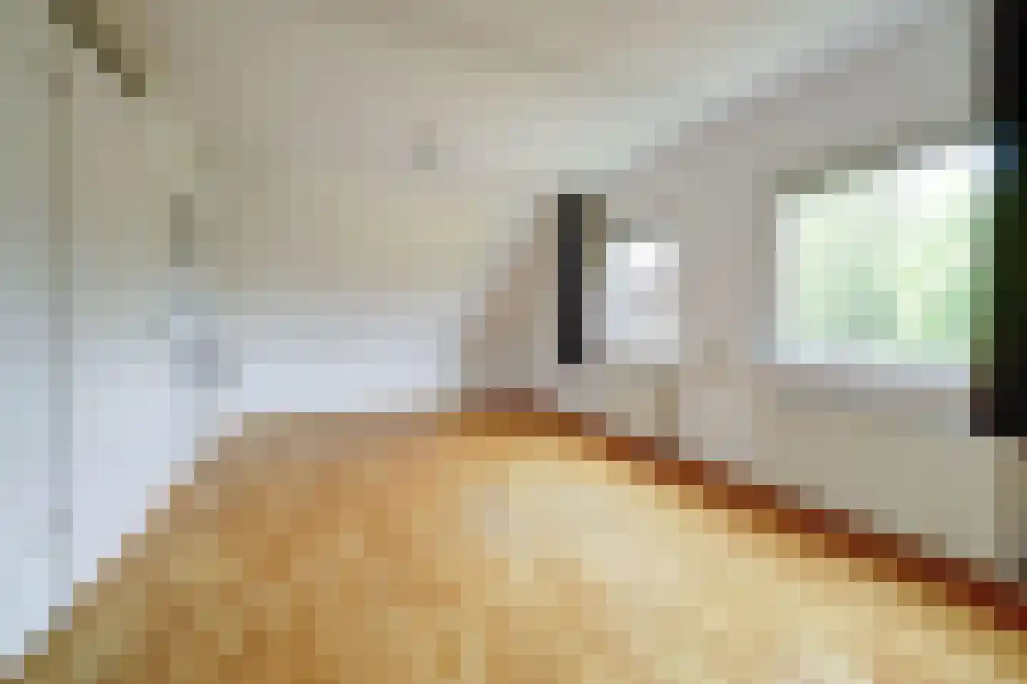 Seringenlaan 4 Burgh-Haamstede thumbnail 19