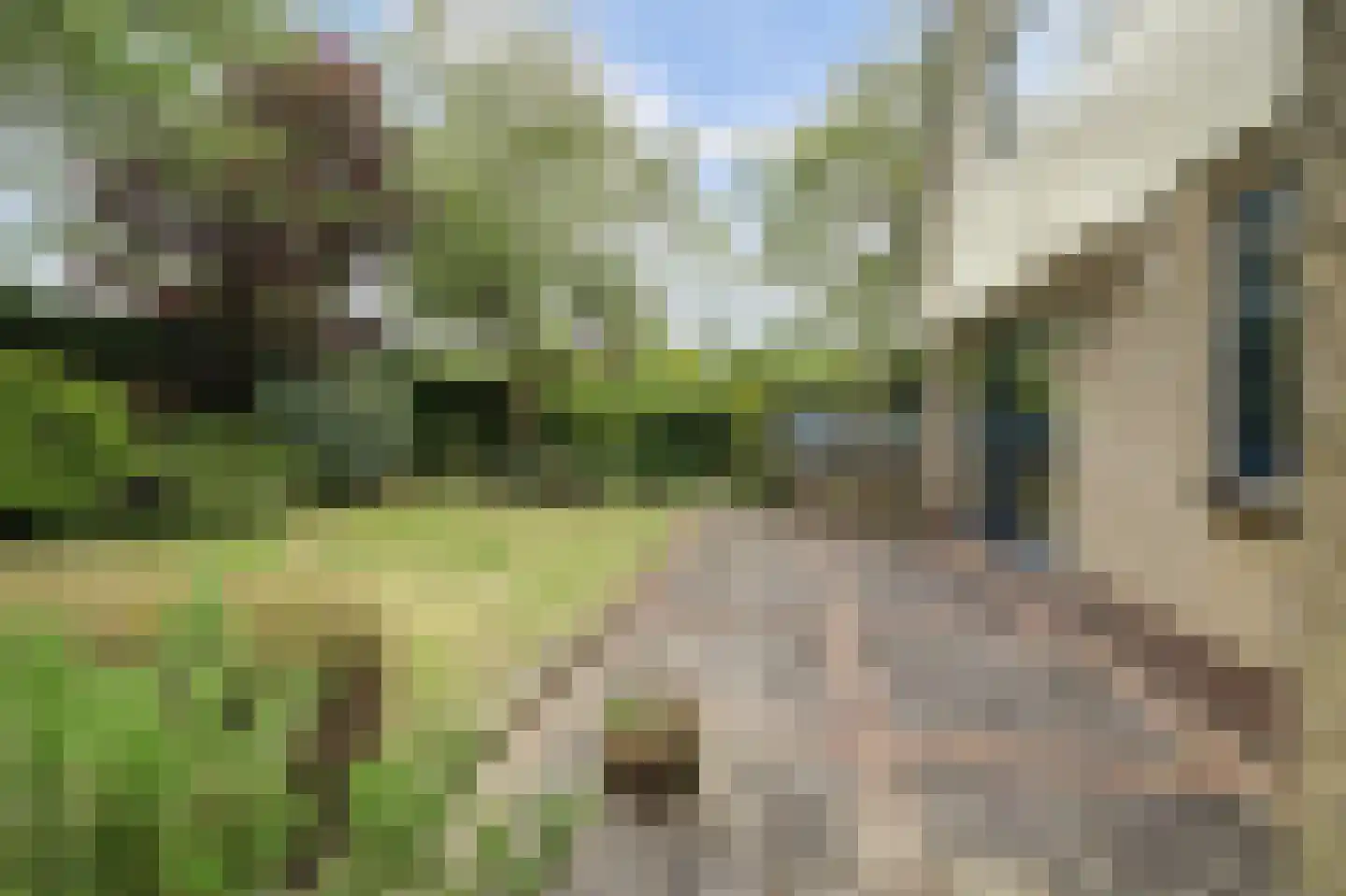 Seringenlaan 4 Burgh-Haamstede thumbnail 25