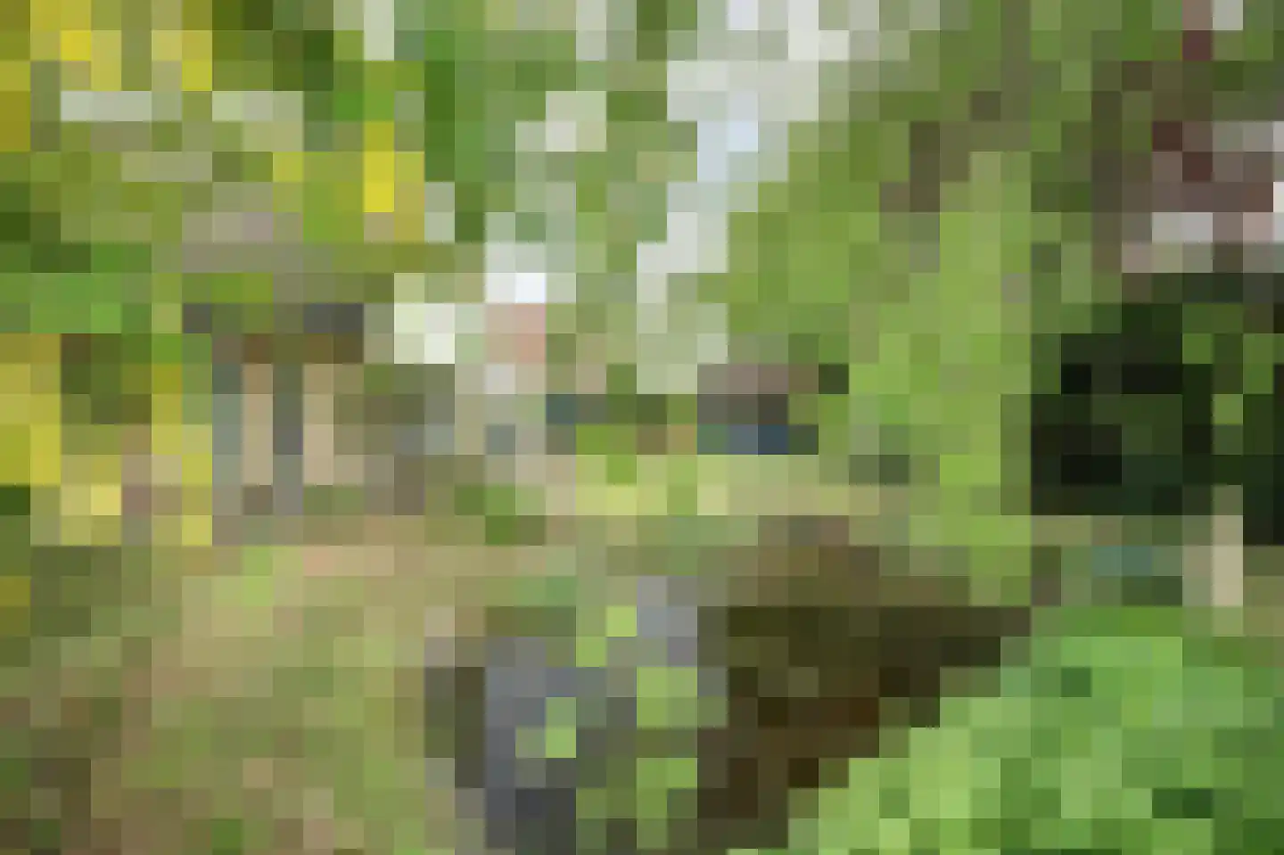 Seringenlaan 4 Burgh-Haamstede thumbnail 28