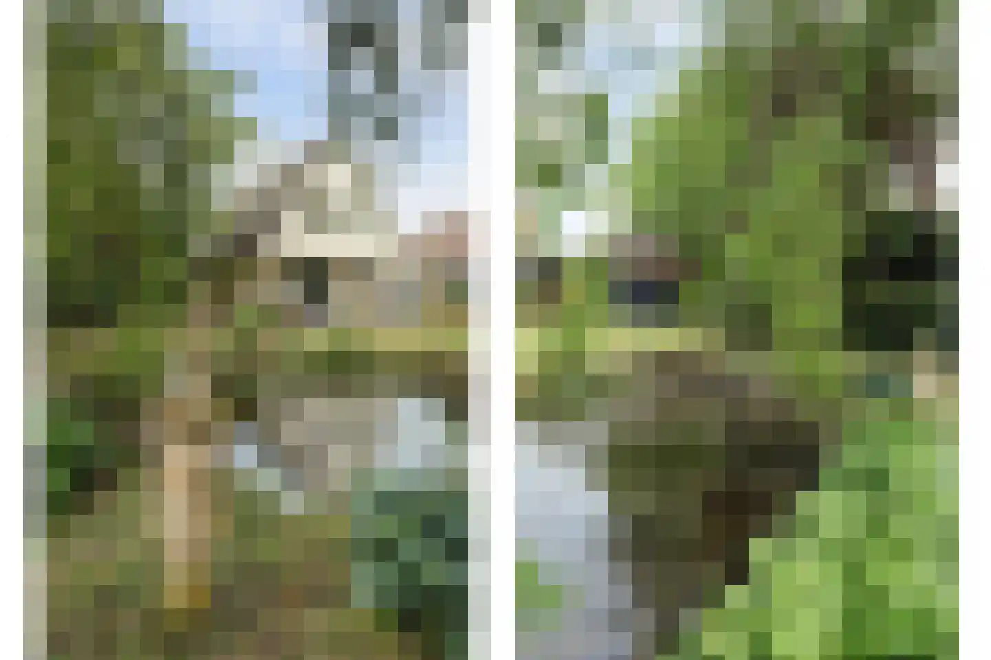 Seringenlaan 4 Burgh-Haamstede thumbnail 29