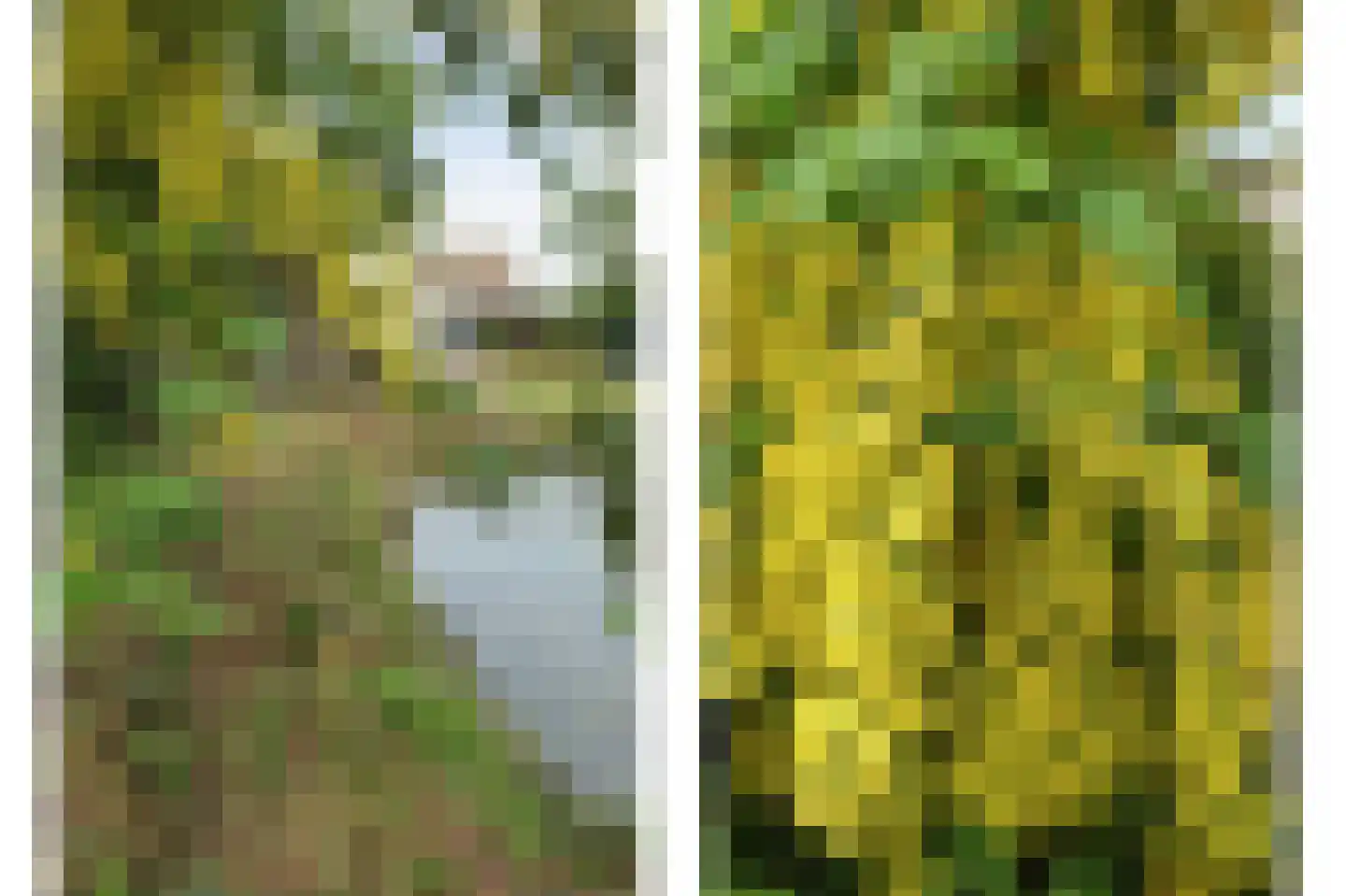 Seringenlaan 4 Burgh-Haamstede thumbnail 31