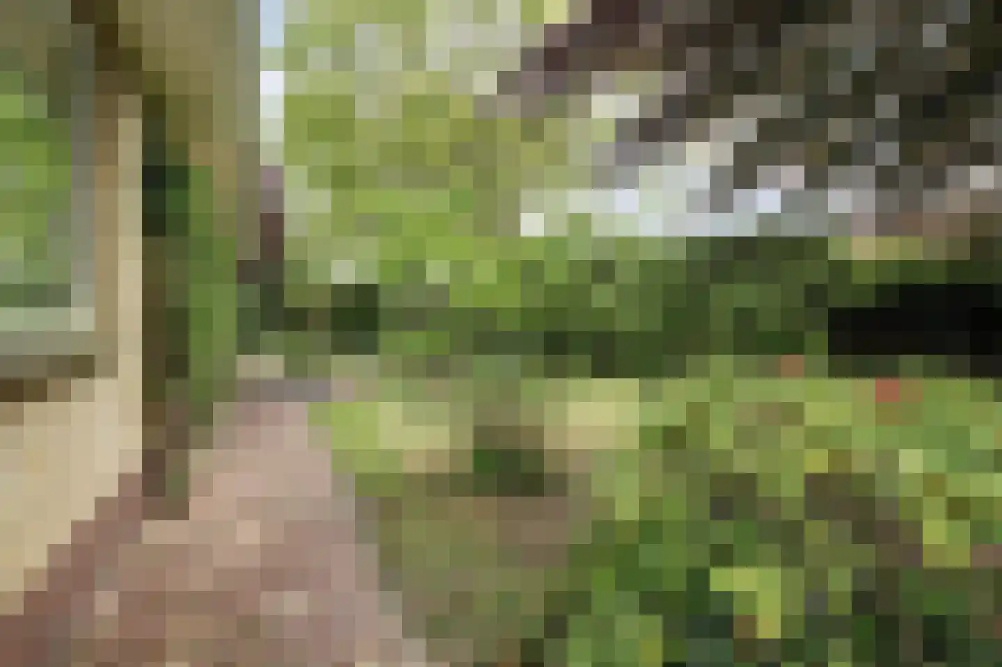 Seringenlaan 4 Burgh-Haamstede thumbnail 32